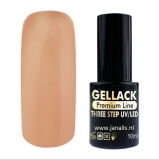 Gel Polish UV/LED Three Step 41 10 ml