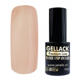 Gel Polish UV/LED Three Step 48 10 ml