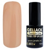 Gel Polish UV/LED Three Step 13 10 ml