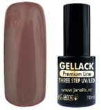 Gel Polish UV/LED Three Step 15 10 ml