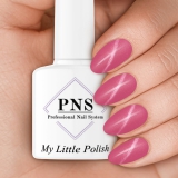 PNS My Little Polish Jive